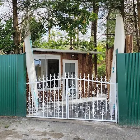 Bateau Sur Terre Pres Du Bassin *