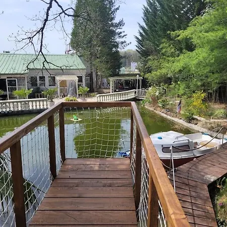 Bateau Sur Terre Pres Du Bassin 船屋